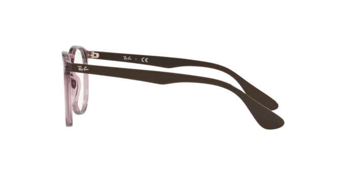 Ray-Ban Erika RX7046 8139