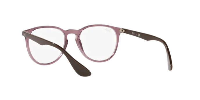 Ray-Ban Erika RX7046 8139