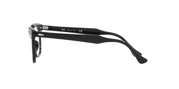 Ray-Ban Hawkeye RX5398 2000