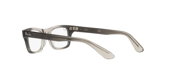 Ray-Ban Junior Burbank RY9083V 3889