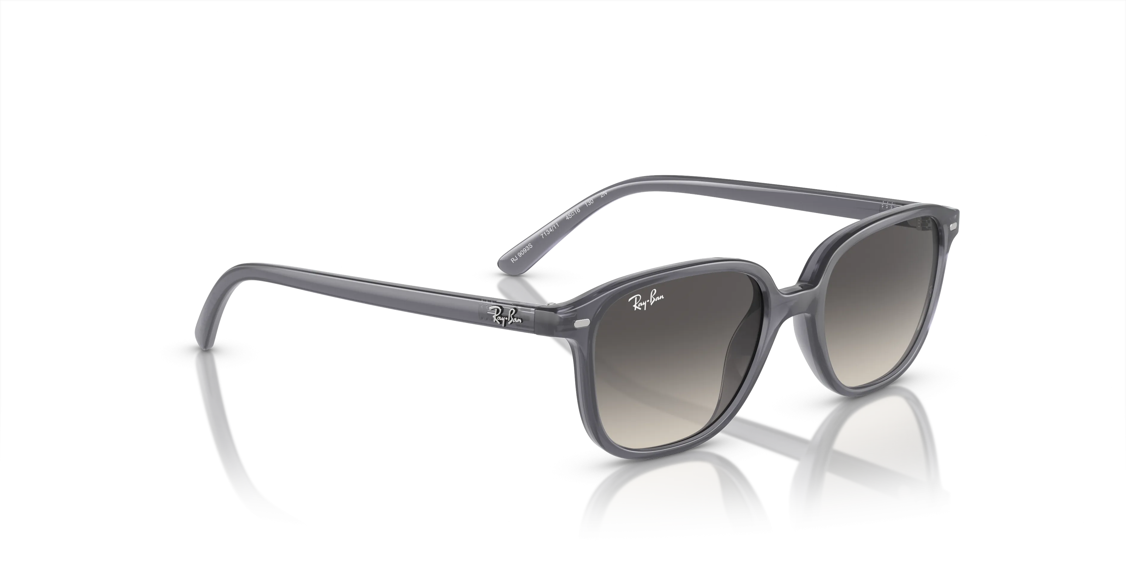 Ray-Ban Junior Leonard RJ9093S 713411
