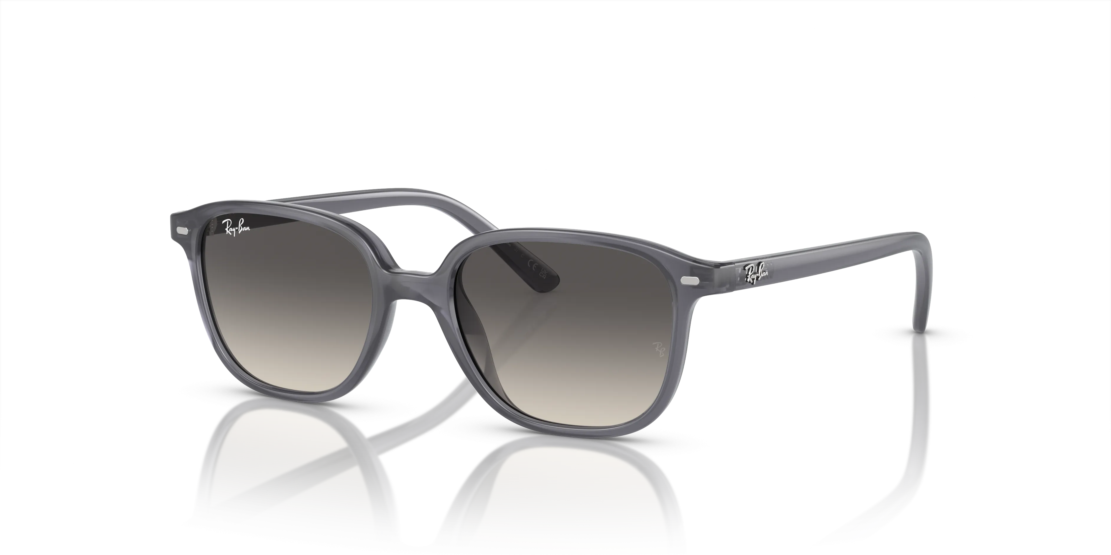 Ray-Ban Junior Leonard RJ9093S 713411