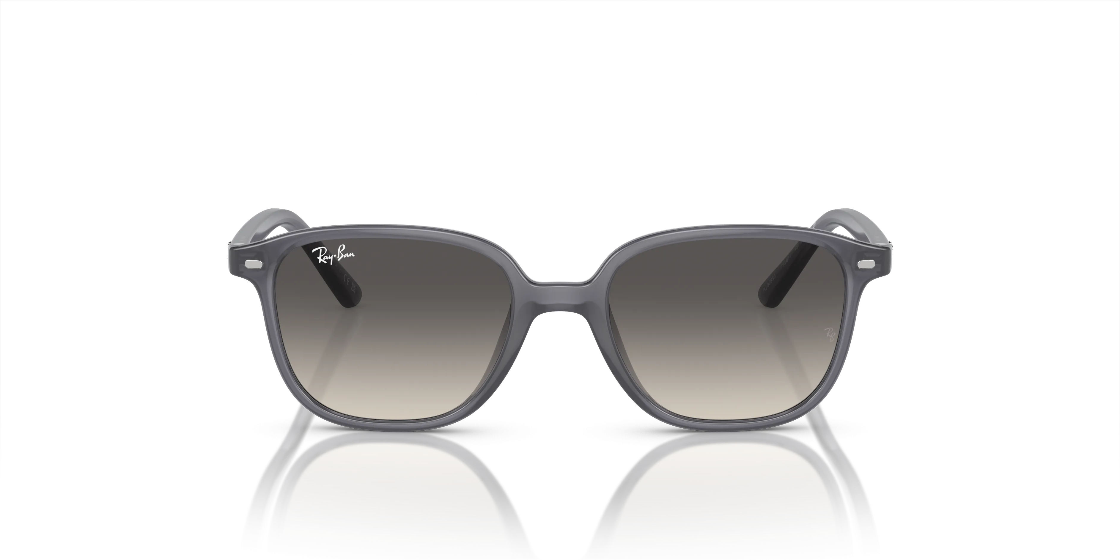 Ray-Ban Junior Leonard RJ9093S 713411