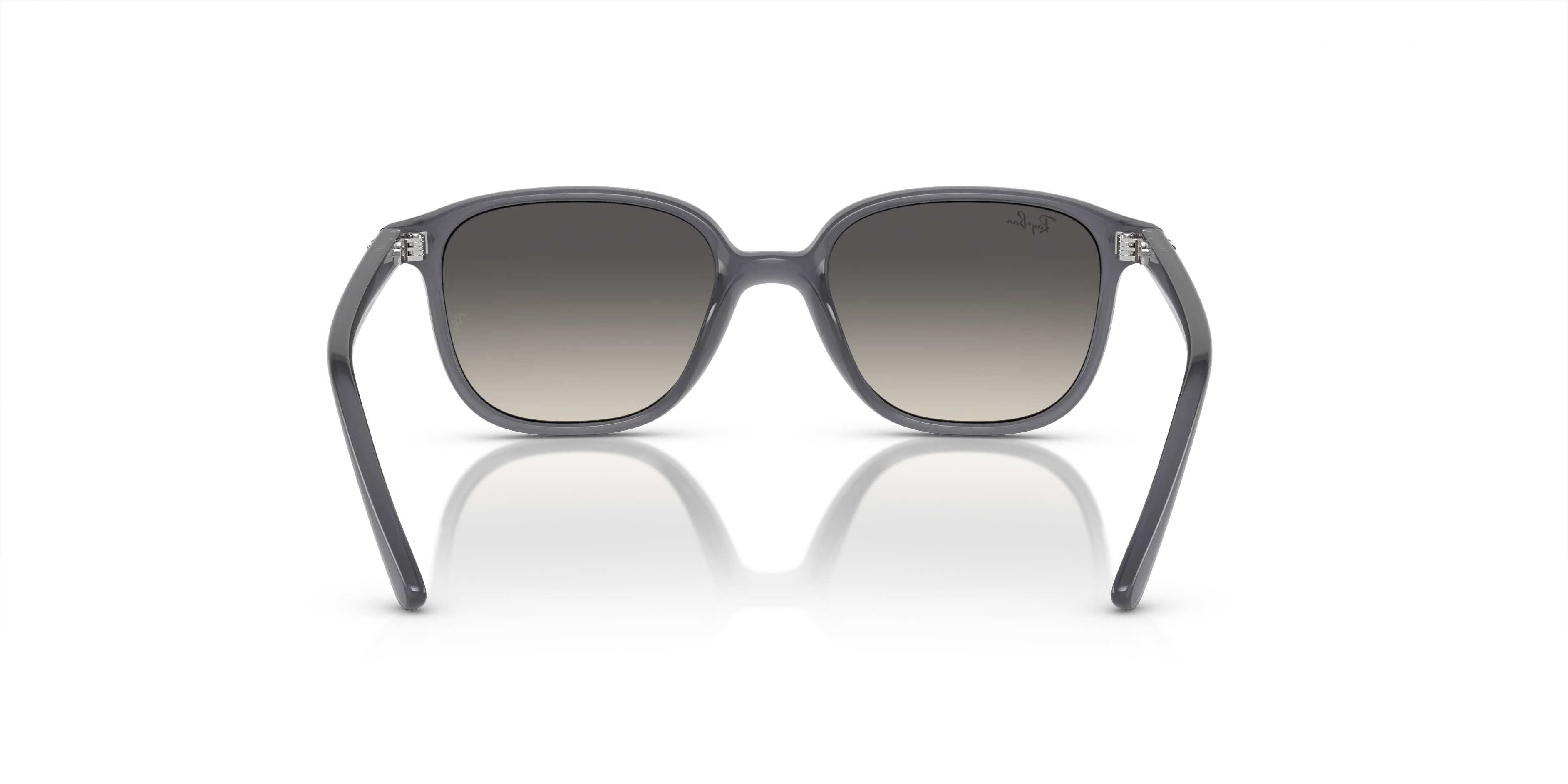Ray-Ban Junior Leonard RJ9093S 713411