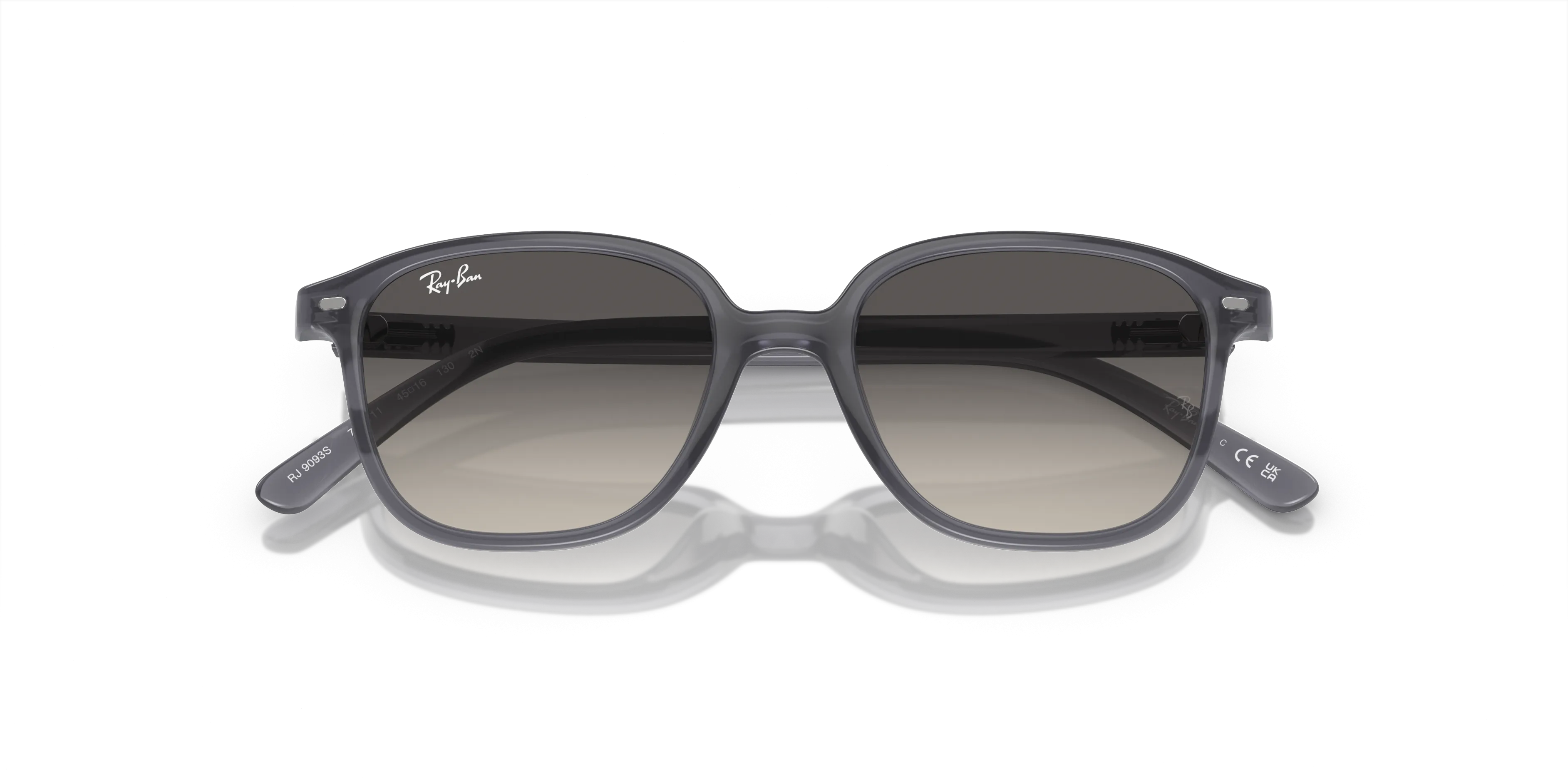 Ray-Ban Junior Leonard RJ9093S 713411