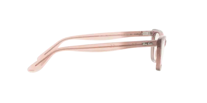 Ray-Ban Lady Burbank RX5499 8148