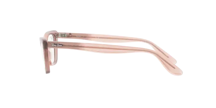 Ray-Ban Lady Burbank RX5499 8148
