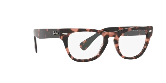Ray-Ban Laramie RX2201V 8118