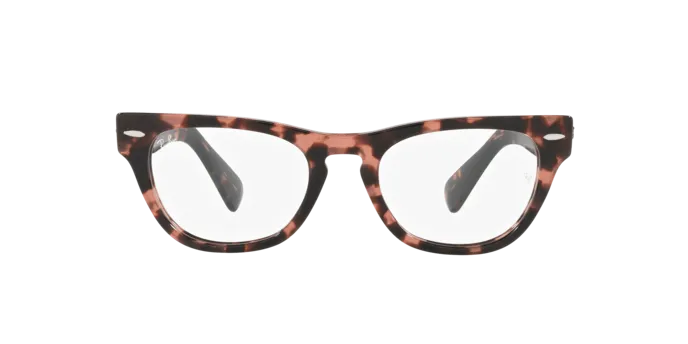 Ray-Ban Laramie RX2201V 8118