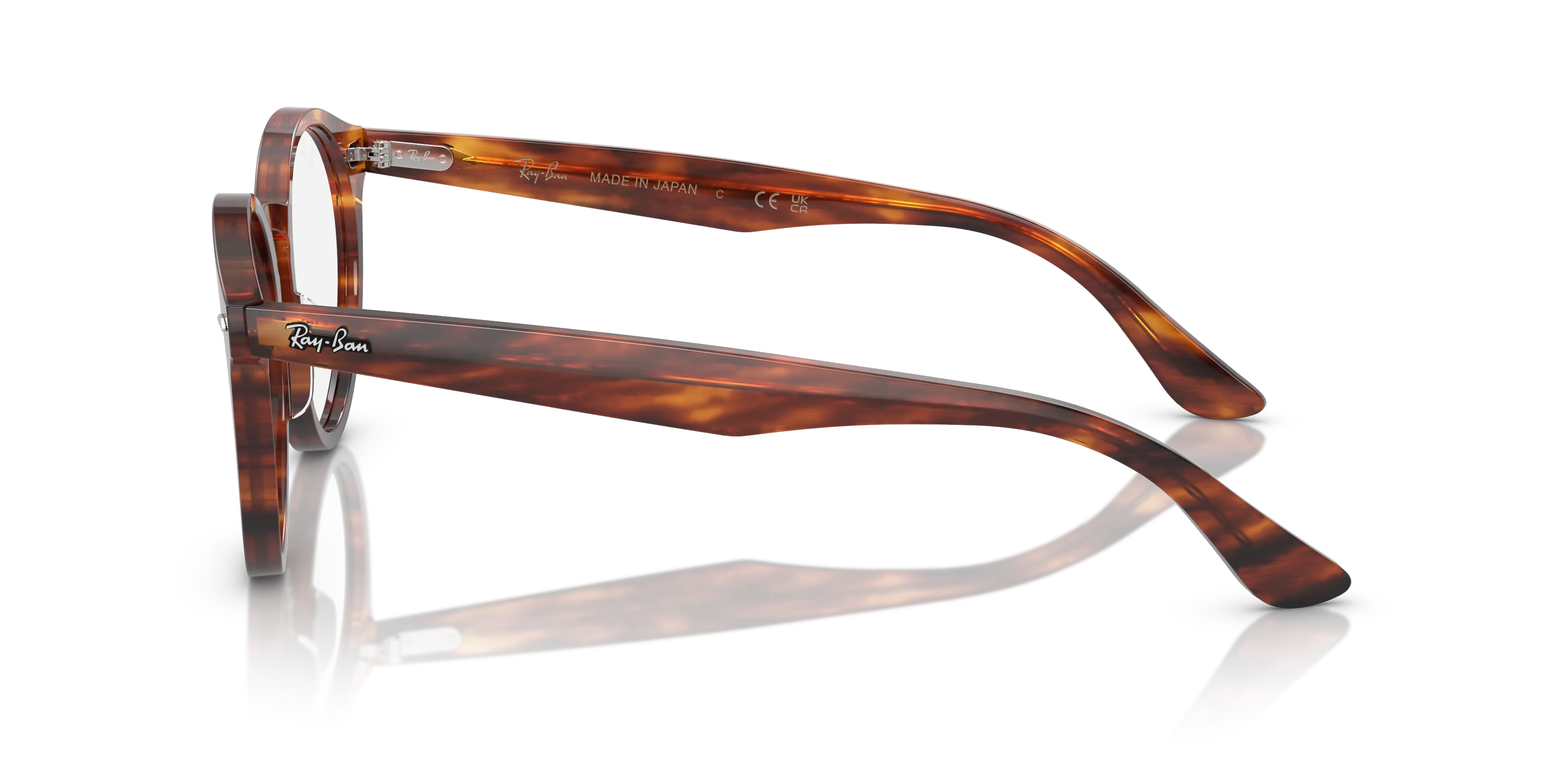 Ray-Ban Larry RX7680V 2144