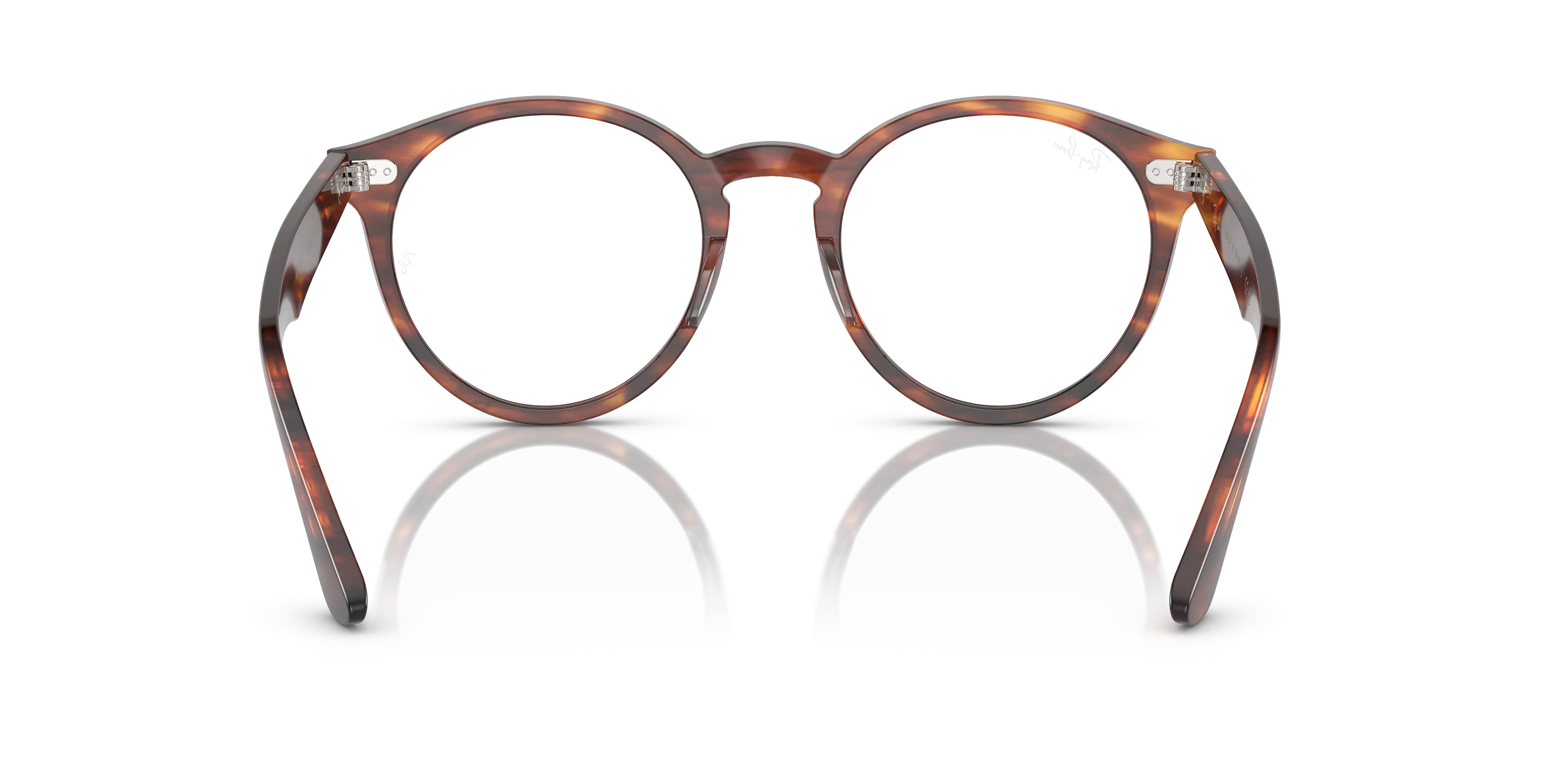 Ray-Ban Larry RX7680V 2144