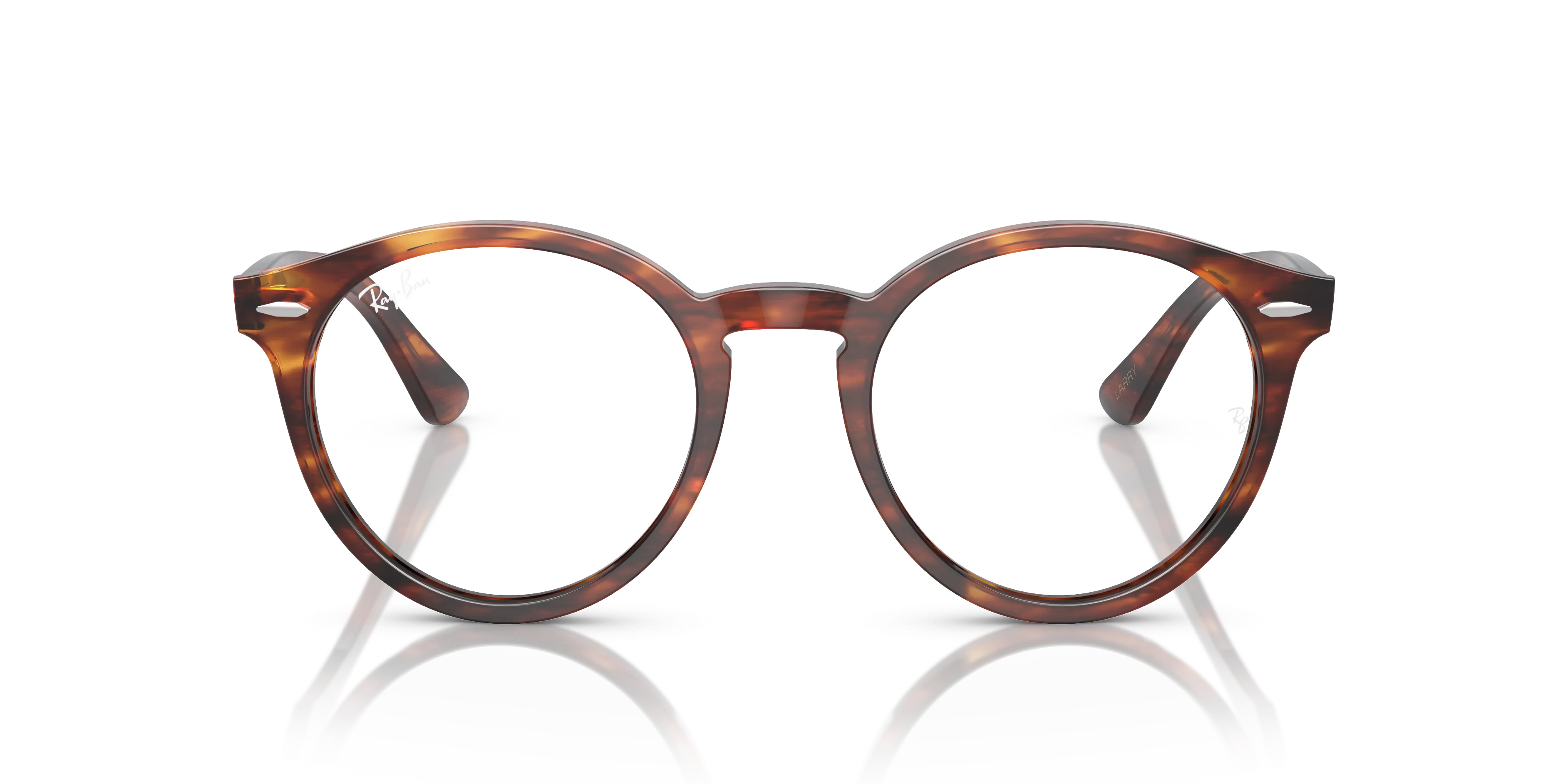Ray-Ban Larry RX7680V 2144