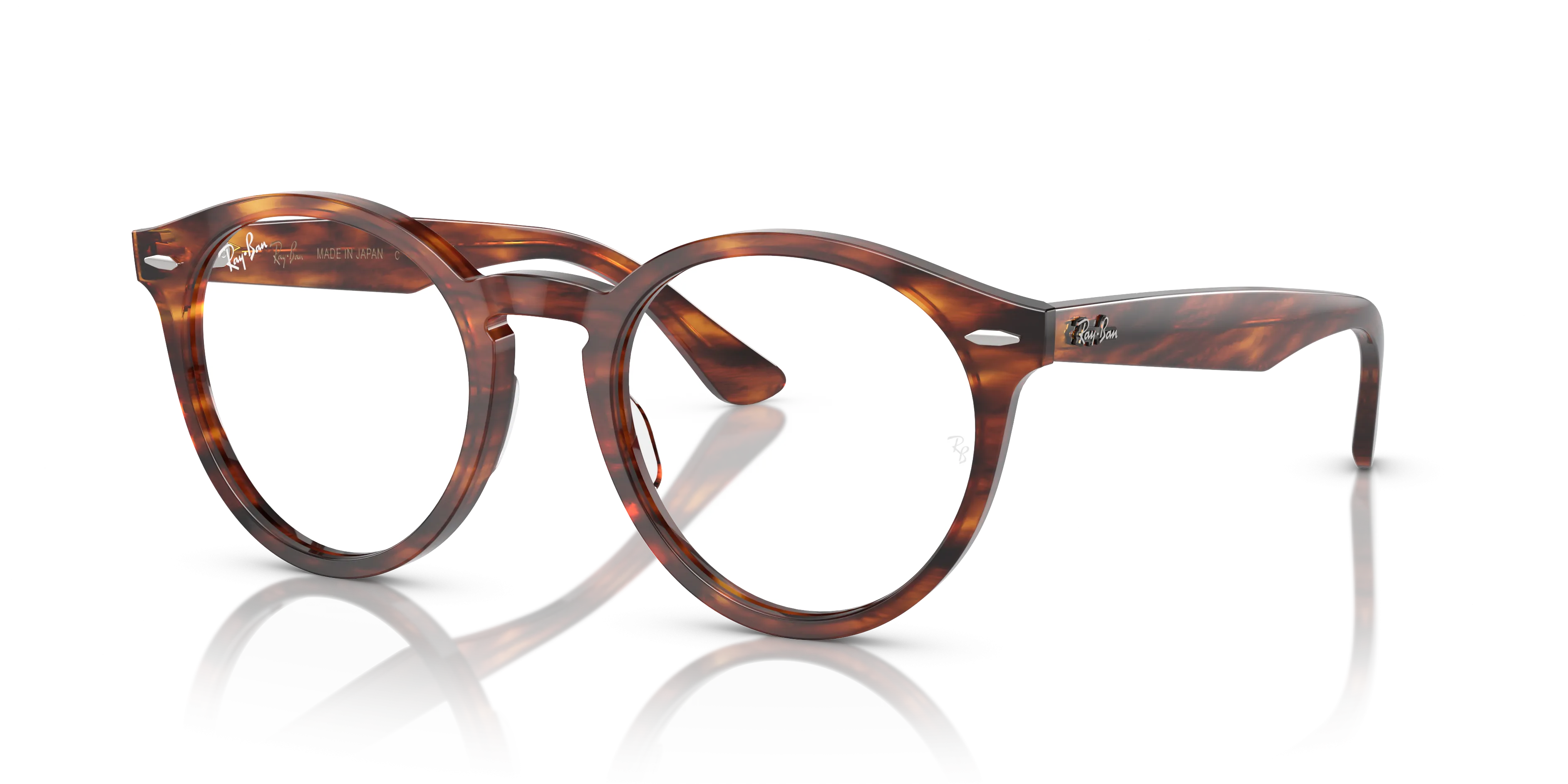 Ray-Ban Larry RX7680V 2144