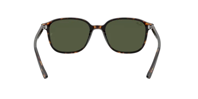 Ray-Ban Leonard RB2193 902/31