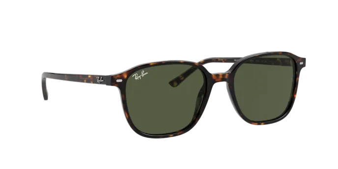 Ray-Ban Leonard RB2193 902/31
