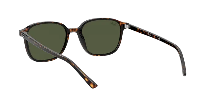 Ray-Ban Leonard RB2193 902/31