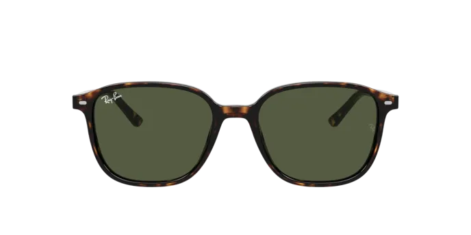 Ray-Ban Leonard RB2193 902/31