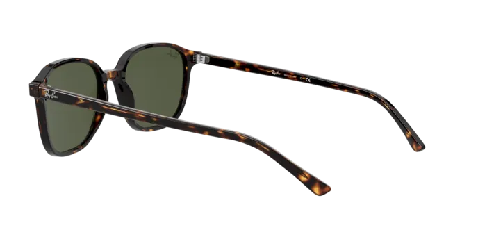 Ray-Ban Leonard RB2193 902/31