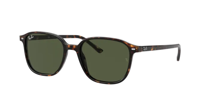Ray-Ban Leonard RB2193 902/31
