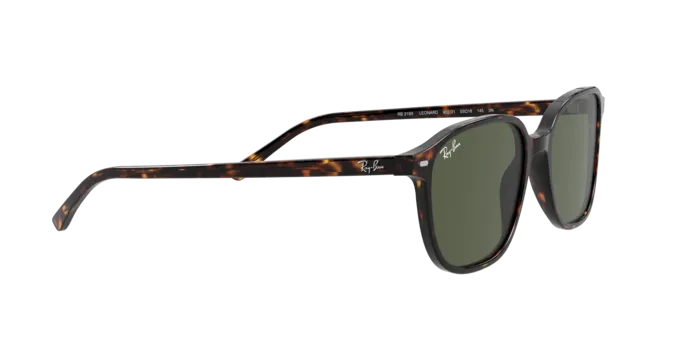 Ray-Ban Leonard RB2193 902/31
