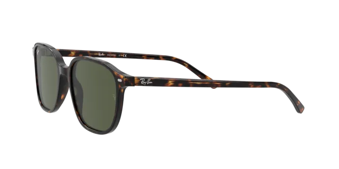 Ray-Ban Leonard RB2193 902/31