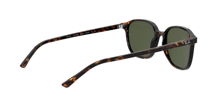 Ray-Ban Leonard RB2193 902/31