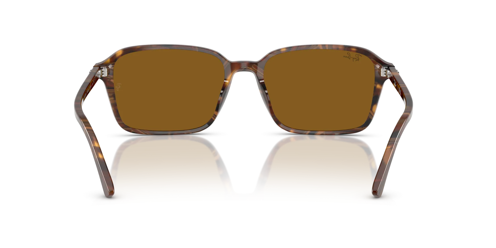 Ray-Ban Raimond RB2231 141833