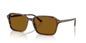 Ray-Ban Raimond RB2231 141833