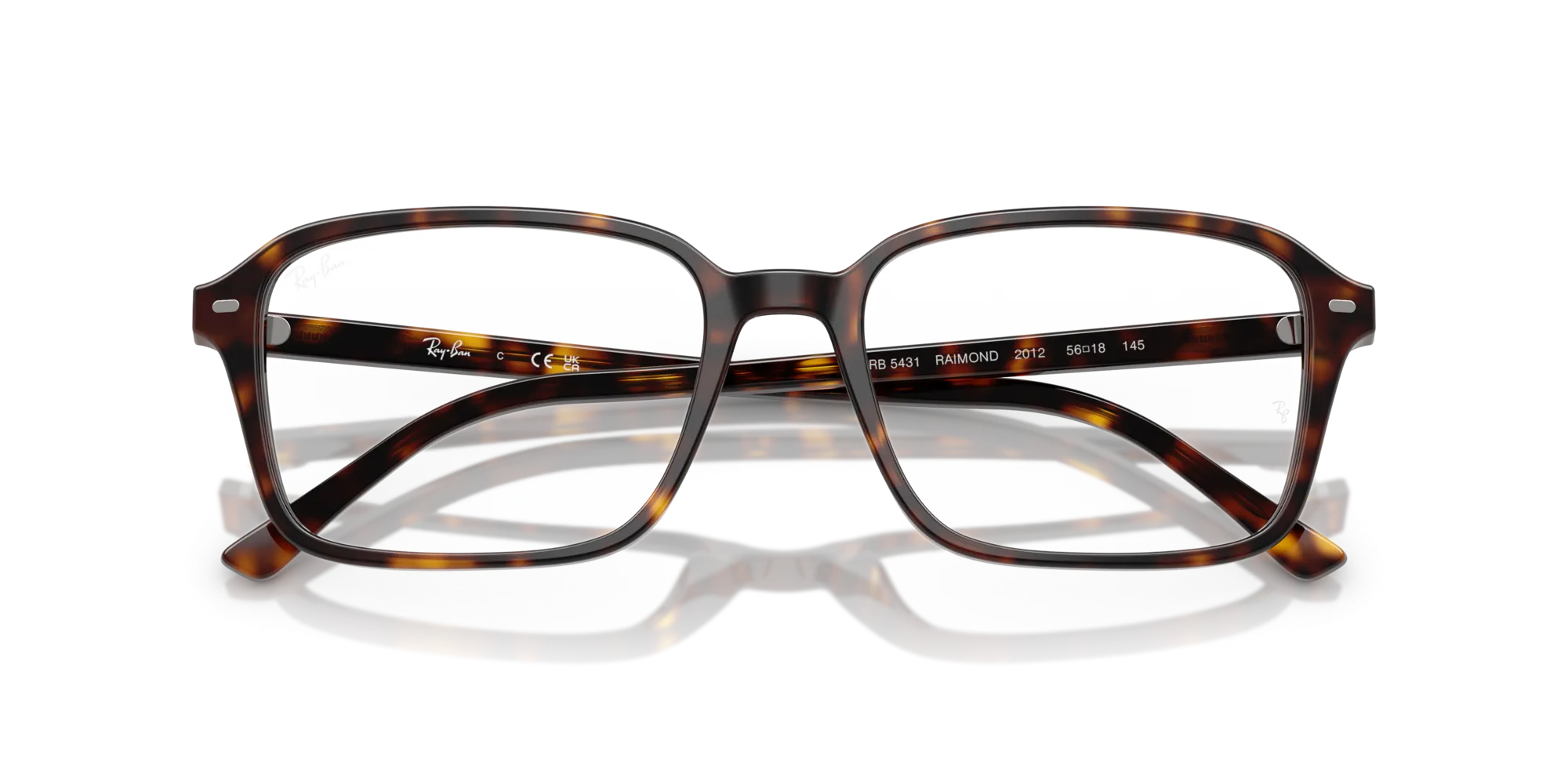 Ray-Ban Raimond RX5431 2012