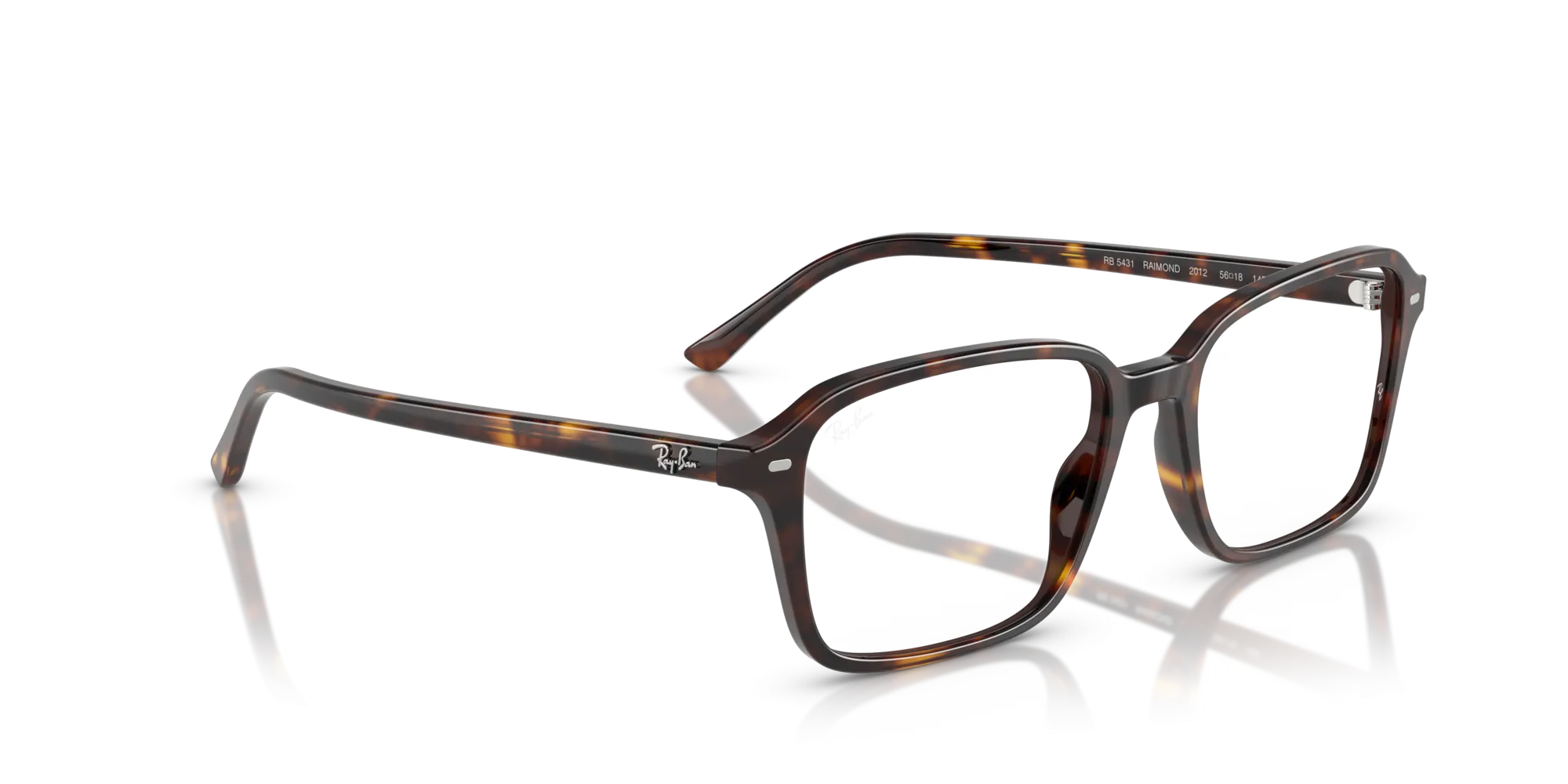 Ray-Ban Raimond RX5431 2012