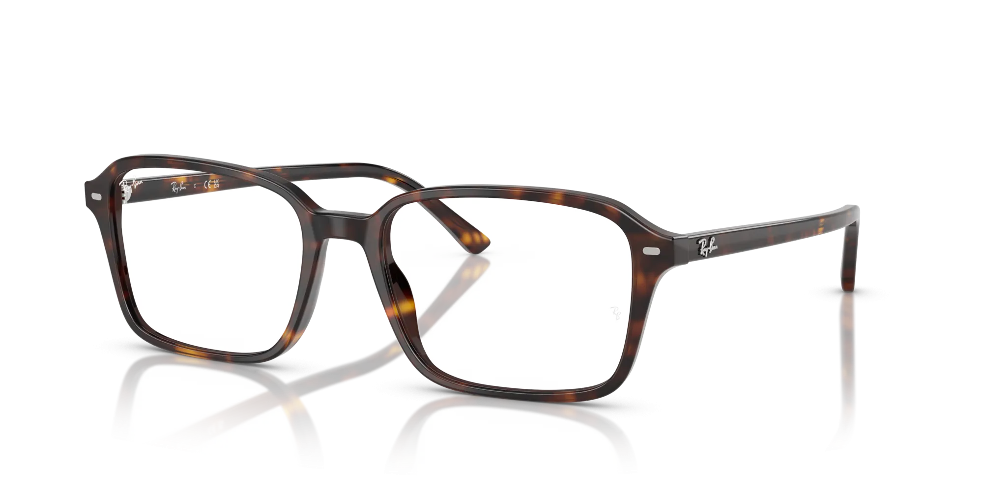 Ray-Ban Raimond RX5431 2012