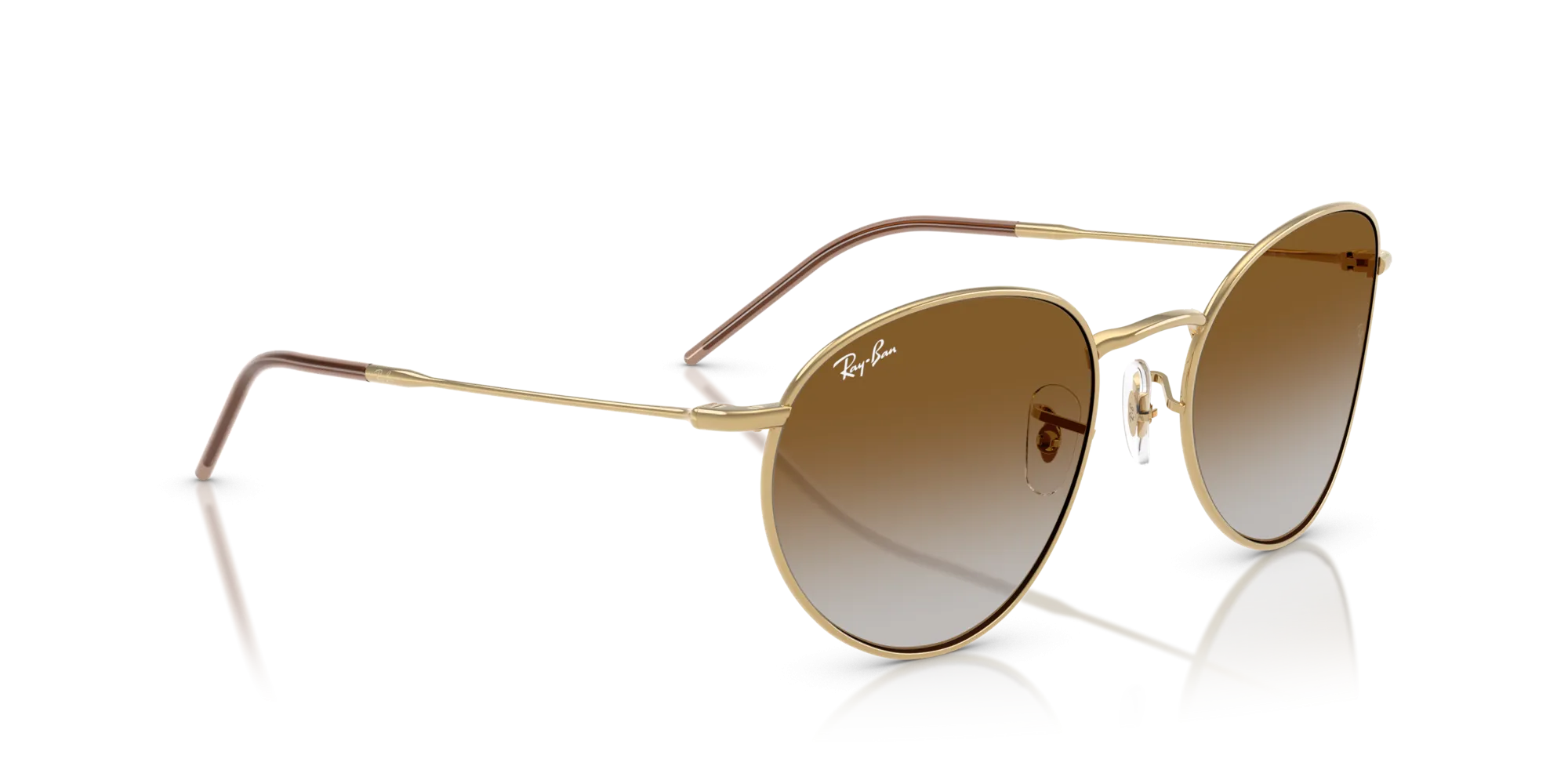 Ray-Ban Round Reverse RBR0103S 001/CB