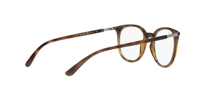 Ray-Ban RX7190 2012