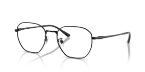 Ray-Ban RX8777D 1244