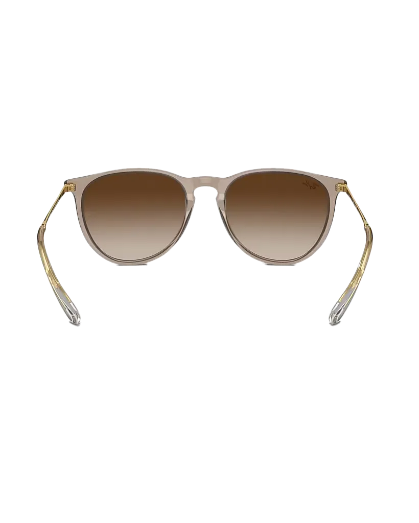 Ray-Ban Sunglasses Erika Sunglasses in Light Brown
