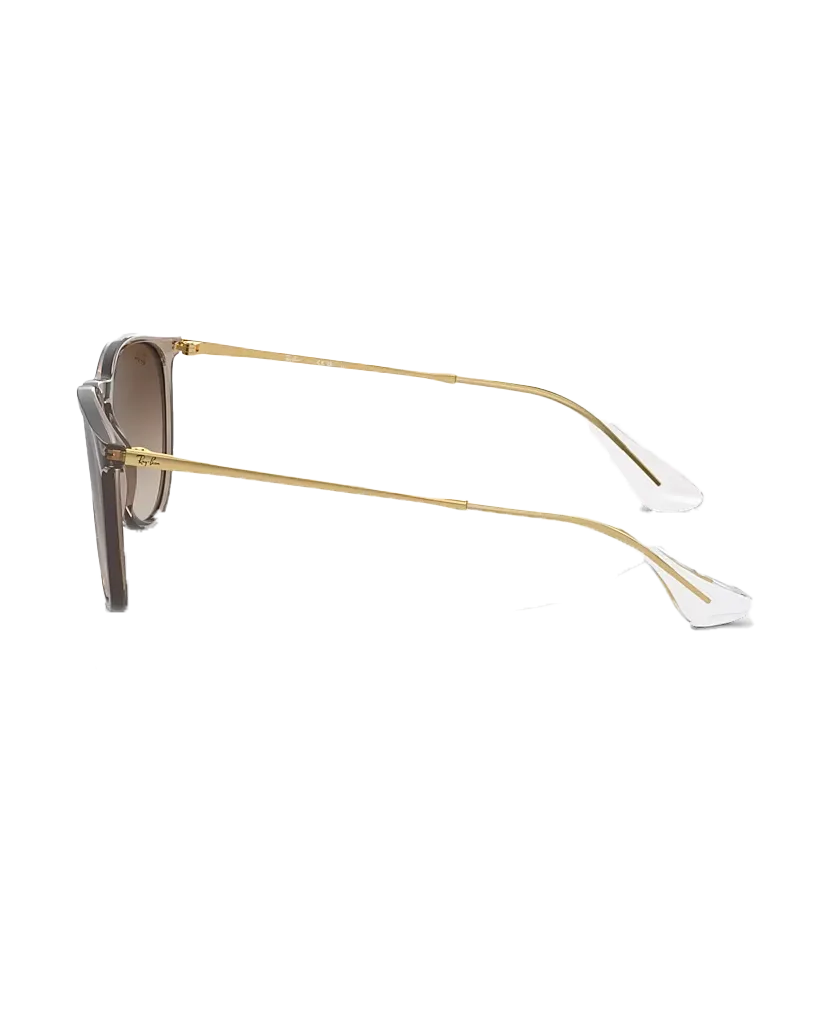 Ray-Ban Sunglasses Erika Sunglasses in Light Brown