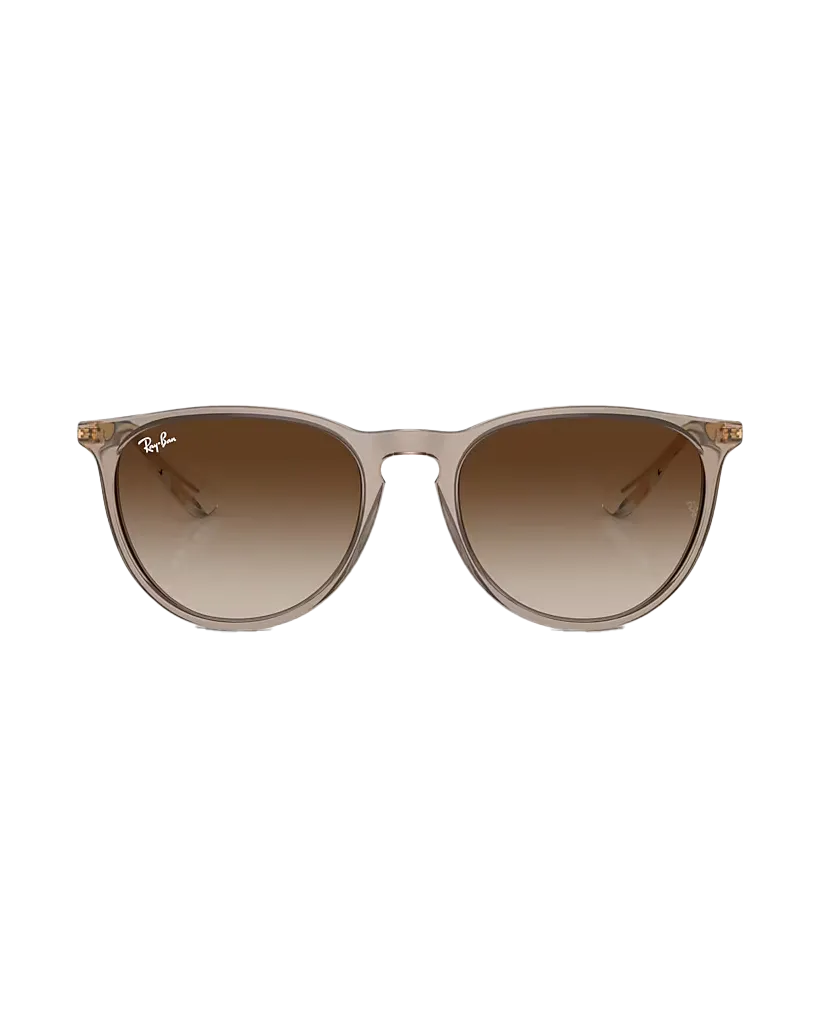 Ray-Ban Sunglasses Erika Sunglasses in Light Brown