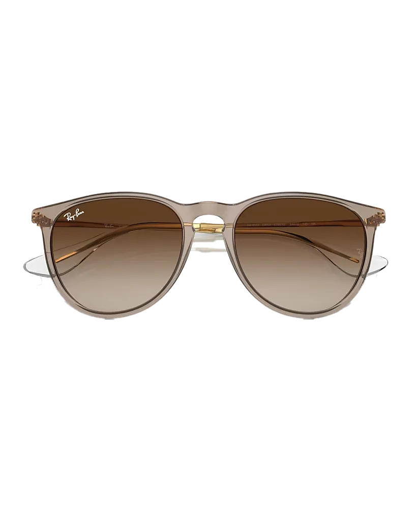 Ray-Ban Sunglasses Erika Sunglasses in Light Brown