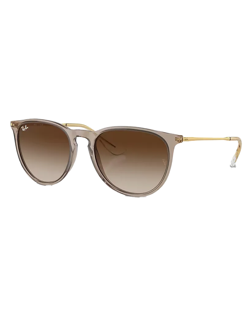 Ray-Ban Sunglasses Erika Sunglasses in Light Brown
