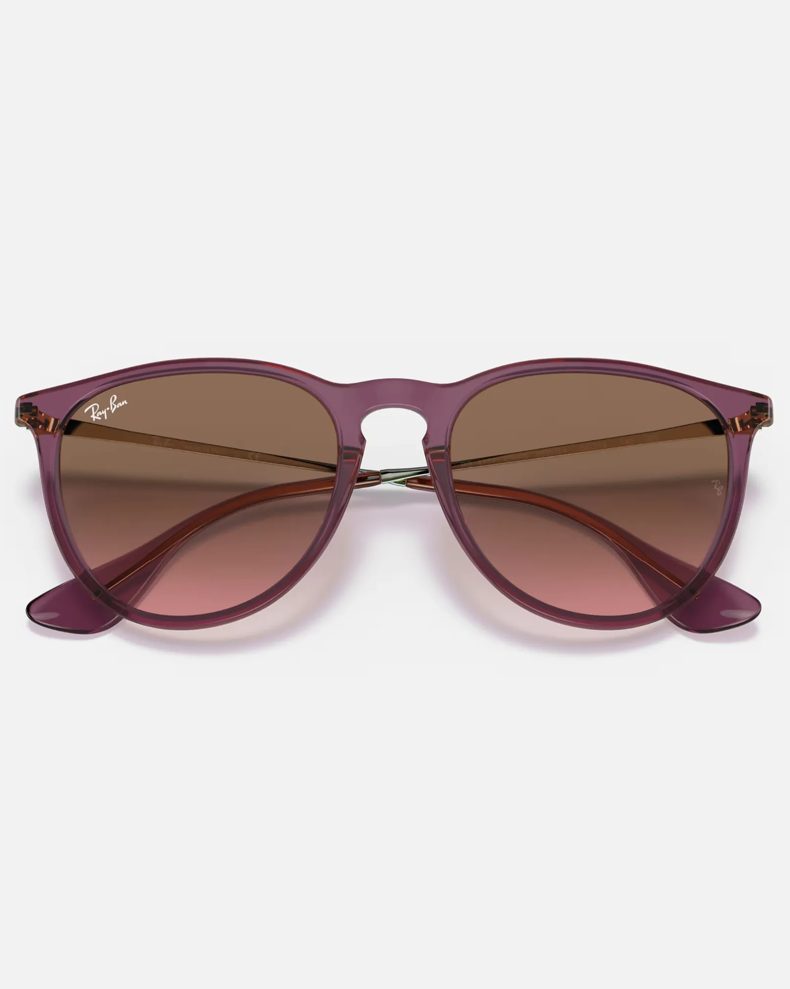 Ray-Ban Sunglasses Erika Sunglasses in Transparent Violet