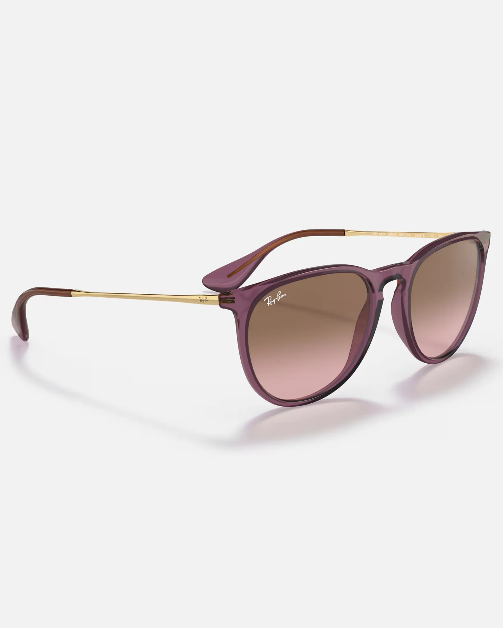 Ray-Ban Sunglasses Erika Sunglasses in Transparent Violet