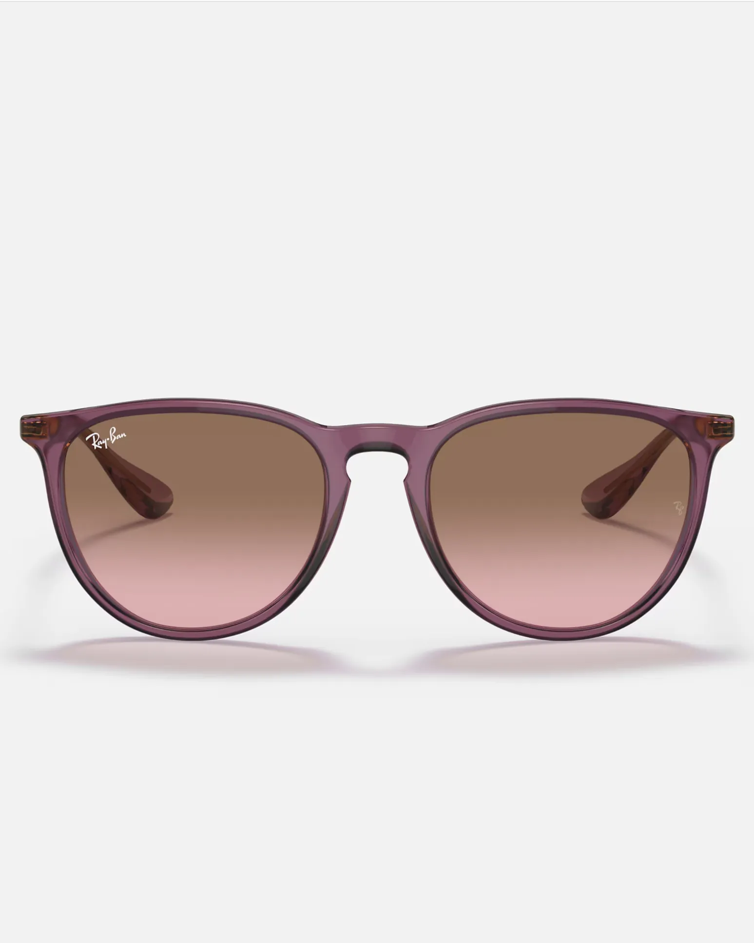 Ray-Ban Sunglasses Erika Sunglasses in Transparent Violet