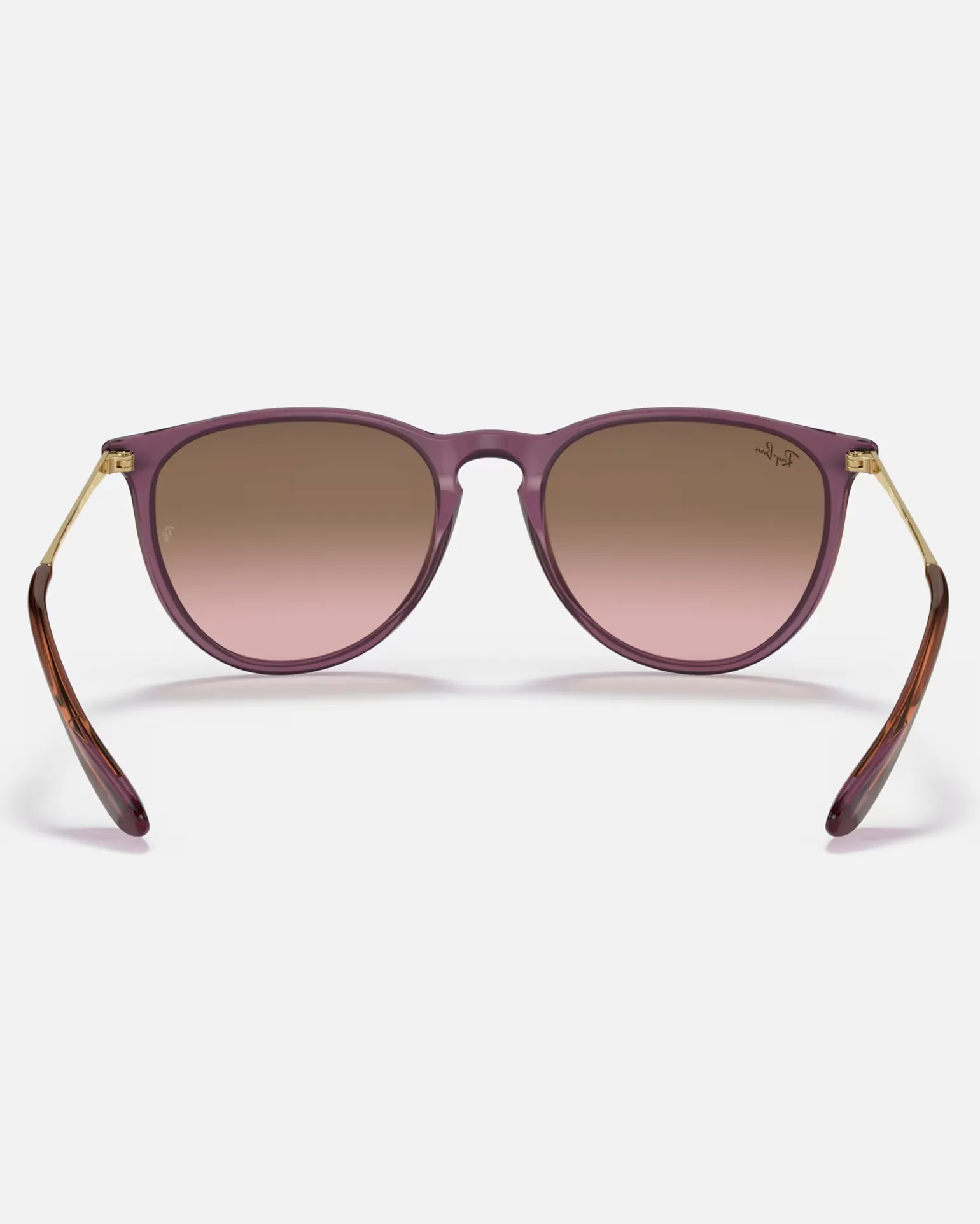 Ray-Ban Sunglasses Erika Sunglasses in Transparent Violet