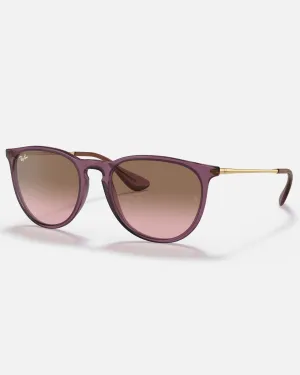 Ray-Ban Sunglasses Erika Sunglasses in Transparent Violet