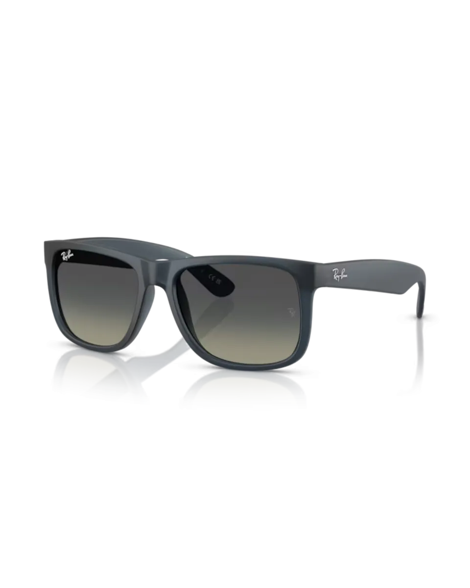 Ray-Ban Sunglasses Justin Classic Sunglasses in Polished Rubber Blue