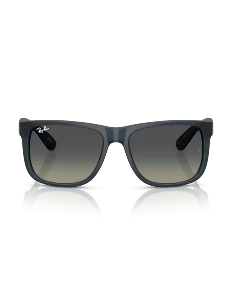 Ray-Ban Sunglasses Justin Classic Sunglasses in Polished Rubber Blue