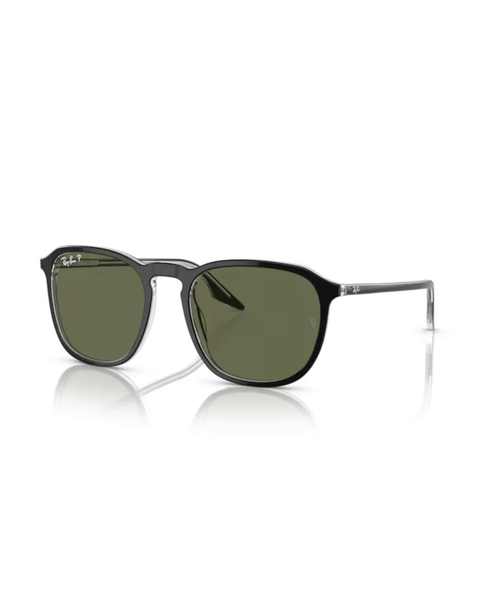Ray-Ban Sunglasses RB2203 Sunglasses in Black On Transparent