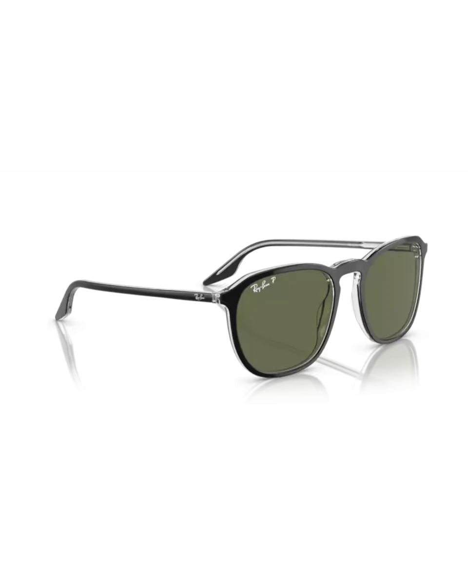 Ray-Ban Sunglasses RB2203 Sunglasses in Black On Transparent