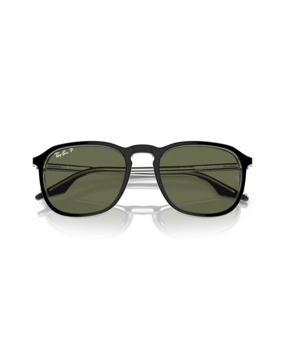 Ray-Ban Sunglasses RB2203 Sunglasses in Black On Transparent