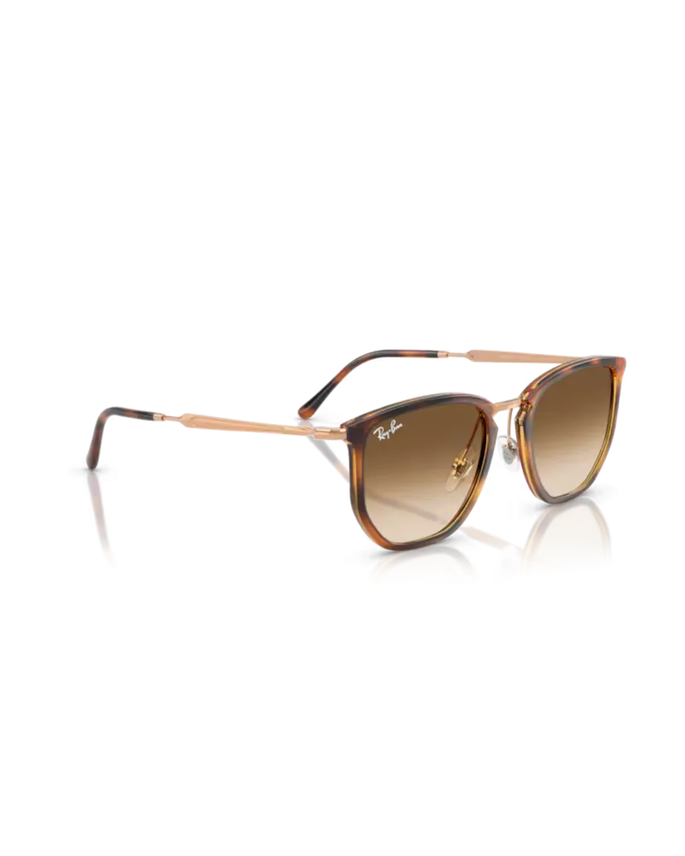 Ray-Ban Sunglasses RB4451 Sunglasses in Polished Transparent Orange